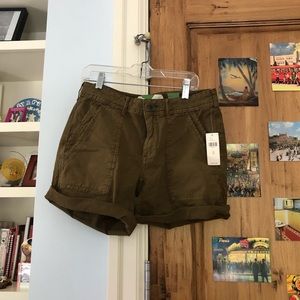 Brown Anthropologie shorts